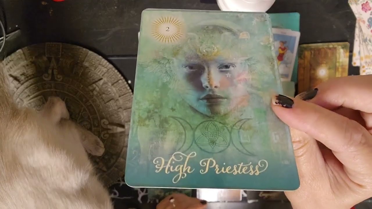 TAURUS ♉️  YOU LET THEM IN........