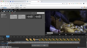 Audio Fade In/Out (Wevideo)