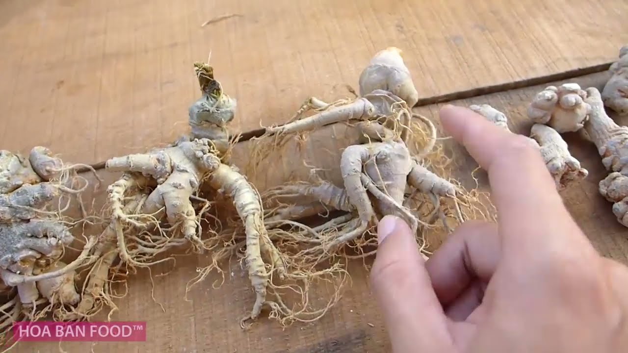 Nam giới có nên dùng tam thất bắc không Nam giới có nên dùng tam thất bắc không