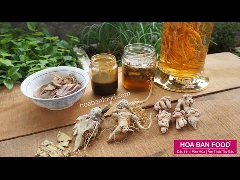 Hoa Tam Thất Tươi - Cách dùng Tam Thất tươi & khô