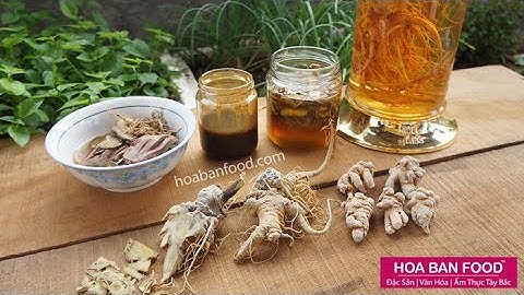 Cách dùng Tam Thất tươi & khô