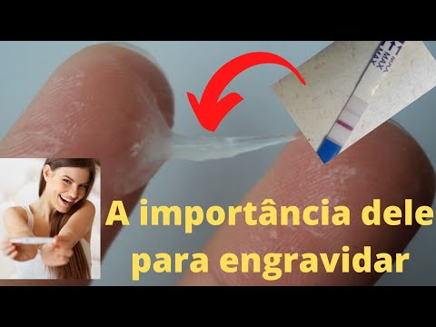 Muco Cervical Ideal Para Engravidar L Perguntas E Respostas Sobre Muco