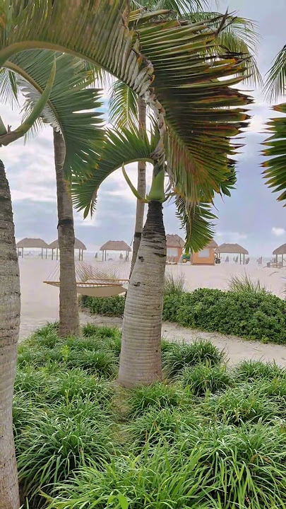 Marco Beach 🌴☀️ white sand, blue water ! 🌊 #MarcoBeach #MarcoIsland #BeachVibes #FloridaBeaches