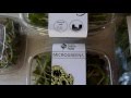 Microgreens Business - Small Seed Microgreens from Start to Finish