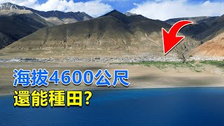 西部巡遊125｜文布南村，藏北高原上唯一能種莊稼的地方，這里美得不似人間