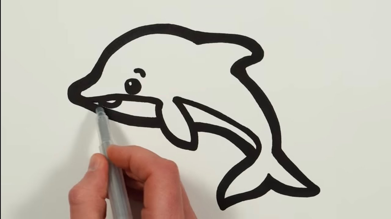 Dolphin Drawing, Painting and Coloring for Kids & Toddlers easy