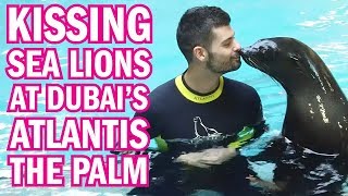 We KISSED a SEA LION at Atlantis The Palm!