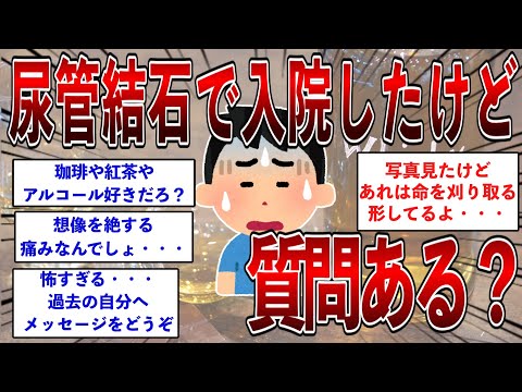 尿管結石で入院したけど質問ある？  【2ch面白いスレ】【ゆっくり解説】