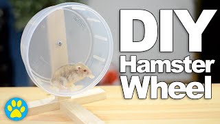 DIY Hamster Wheel | #DIYJuly 16