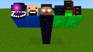 what if you create SIREN HEAD WARDEN HEROBRINE NOTCH WITHER STORM in MINECRAFT