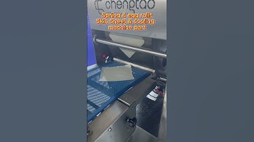 Automated Spring Rolls & Egg Rolls Machine – Chengtao Machinery 🥟🔥
