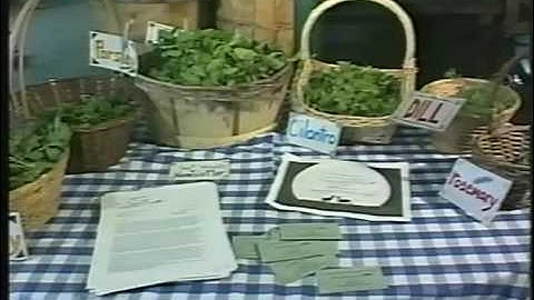 Large-Scale CSA from Farmers and their Diversified Horticultural Marketing Strategies