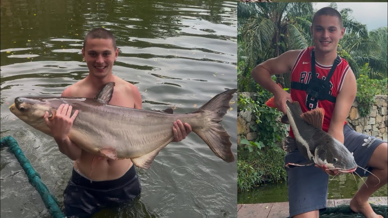 Monster Fishing Park, Phuket 🇹🇭 Mekong Catfish and other species!