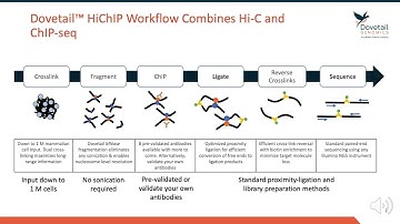 Bio-Active | Introduction to HiChIP Technology from Dovetail Genomics