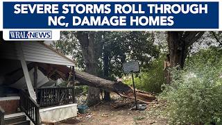 Hundreds lose power as storms knock down powerlines and trees