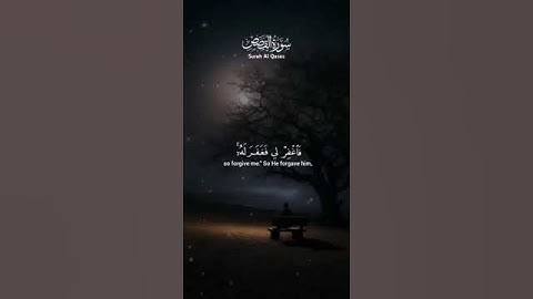 سورة القصص / القارئ الشيخ محمد صديق المنشاوي