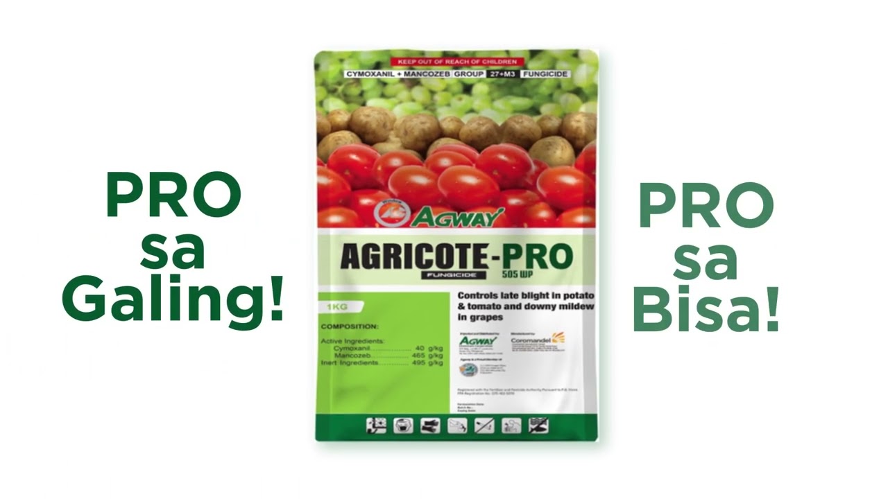 Pro sa bisa, Pro sa galing! #shorts #AgwayYan #welovefarmers