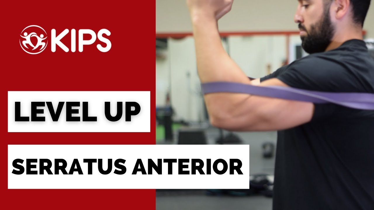 Serratus Anterior | An undervalued muscle group to unlock even better progress!
