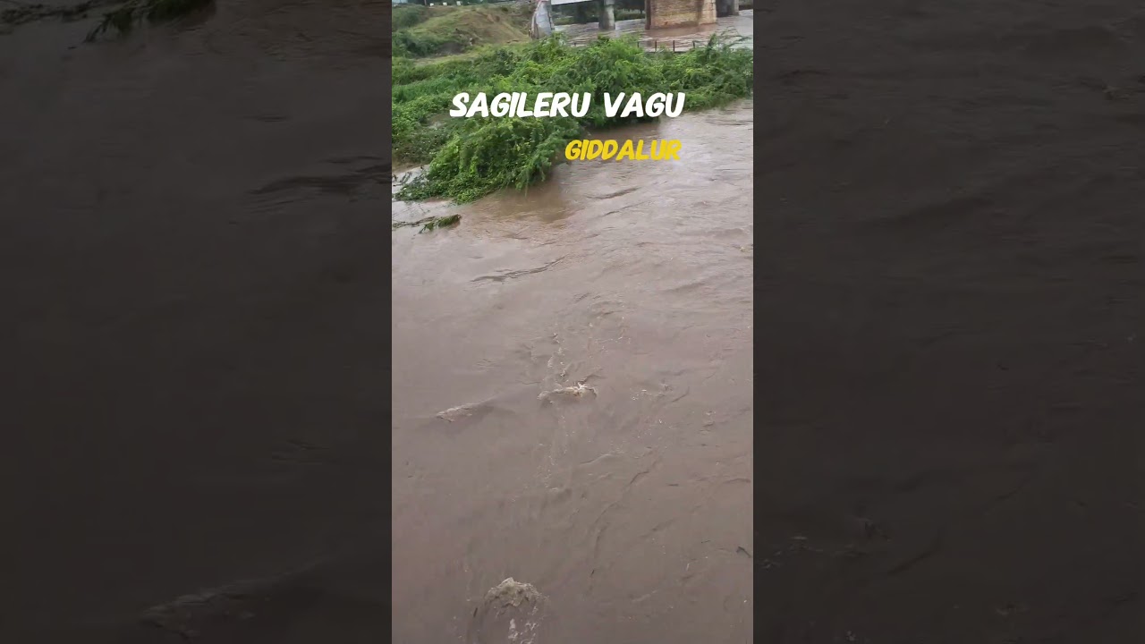 Giddalur Sagileru Bridge 