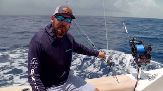 Leash Locks and 400lb +500lb Mono Halyard Locks!