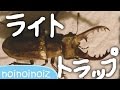 ライトトラップ(カブトムシクワガタの捕り方)をやってみた成果上々 light trap insect collecting Stag beetle,japanese rhinoceros beetle