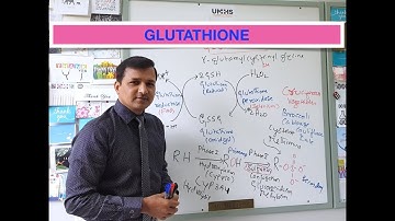 Glutathione Biochemical Function and Sources