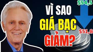 VÌ SAO Giá Bạc GIẢM 5% Điều gì đang XẢY RA trên thị trường?