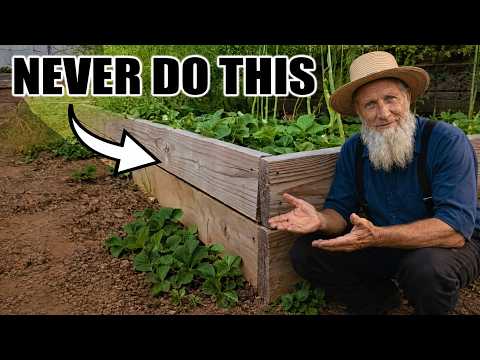 7 Beginner Raised Bed Garden Mistakes to Avoid