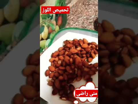 تحميص اللوز وتقشيره بكل سهولة للارز بالخلطة منى راضى