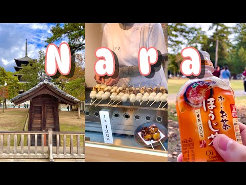 Autumn Trip to NARA | Street Food Hunting - JAPAN Vlog