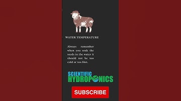 Hydroponic Fodder | Youtube shorts | Scientific Hydroponics | Ashwin Sawant | Soaking seeds |