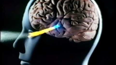 The Mind Machine Episode 4 - Rhythms of Life by Colin Blakemore