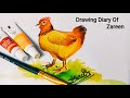 How to draw a hen with watercolor ll drawing diary of zareen