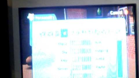 Sims 2 Gamecube New Cheat?