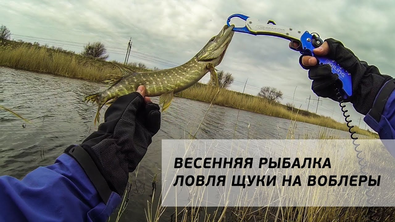 Весенняя рыбалка на щуку в омске Весенняя рыбалка на щуку в омске