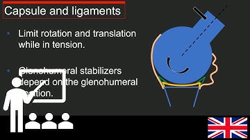 Trailer Lectures: Understanding glenohumeral instability.