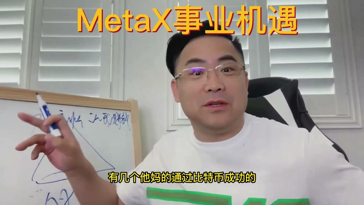 MetaX business model