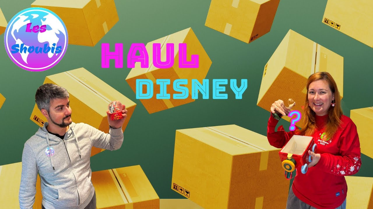 Haul DISNEY Décembre