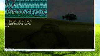 (ABM)Auto backdoor metasploit.