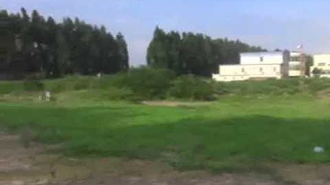 eHIROBO.com - Skyartec WASP X3V Flybarless 3G3X System Flight