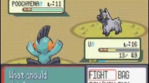 Pokemon Ruby Speed Run Segment 4