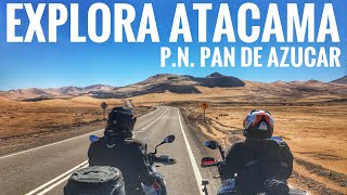 Nos Recomiendan Cerro Imán y Llegamos Hasta Pan de Azúcar Día 2 EXPLORA ATACAMA