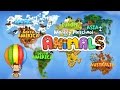 Monkey Preschool Animals