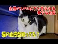 大学病院から献血のお願いをされました