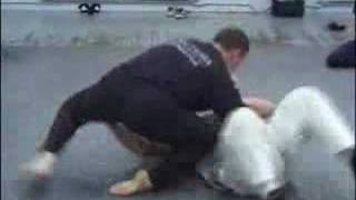 Systema and Ground-fighting Demetry Furman May 2006