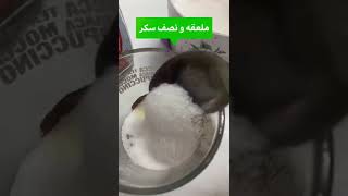 المقادير المناسبه لعمل قهوه بحليب بودره و الطعم زي المحلات ☕️✨