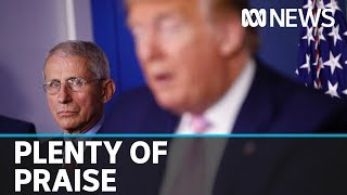 Donald Trump will not fire Dr Anthony Fauci over US coronavirus response comments | ABC News