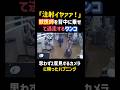 「注射イヤァァ！」獣医師を背中に乗せて逃走するワンコ。 #犬 #面白い #爆笑 #ペット #dog #funny #shorts