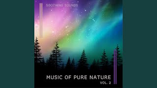 Virgin Nature Music pt. 1 (feat. Brown Noise Radio, Nature Sounds Artists & Seascapers)