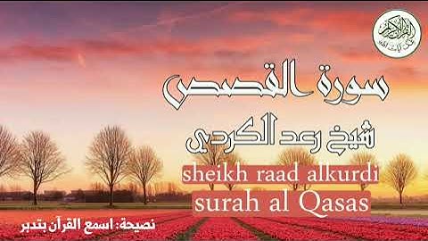 سورة القصص شيخ رعد الكردي surah al Qasas sheikh raad alkurdi